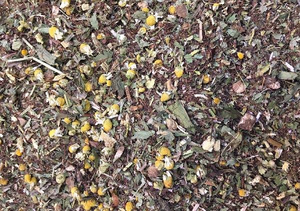 Apotheke Boznerplatz - Labor