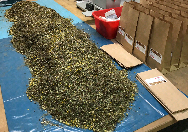 Apotheke Boznerplatz - Labor