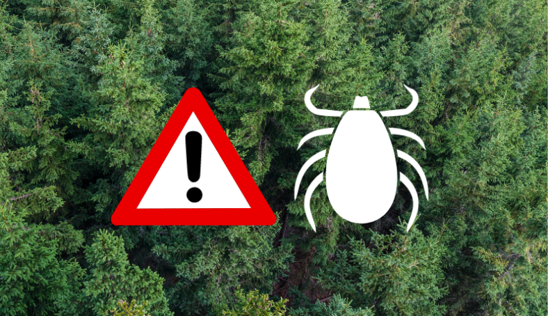 Zecken.png Waldlandschaft mit einer Warnsymbolik und grafischem Hinweis auf Zecken.