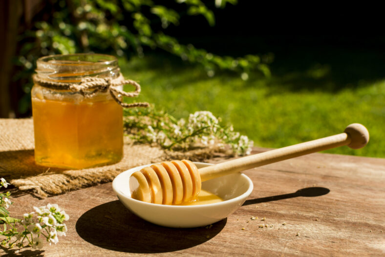 Honig_2.jpg Ein Glas Honig mit einer Schnur, eine Schale mit flüssigem Honig und ein Holzlöffel, auf einem Tisch im Freien.