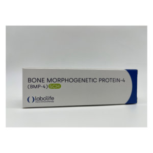 Verpackung für Bone Morphogenetic Protein-4 (BMP-4) 5CH mit dem Logo von labolife in einem klaren Design.